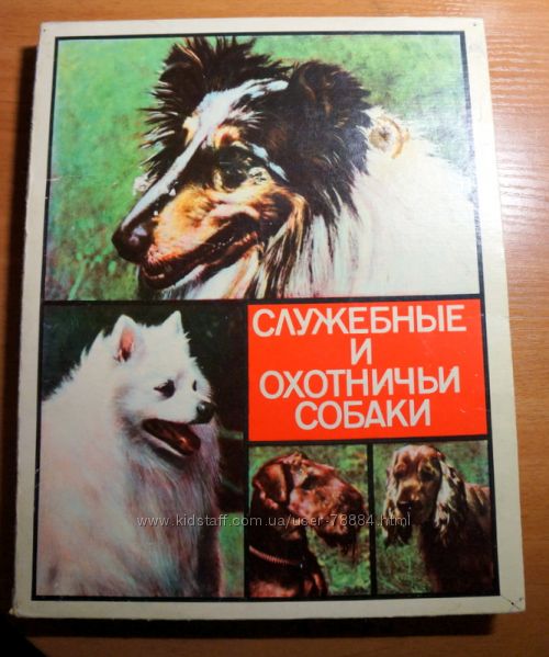 Собаки