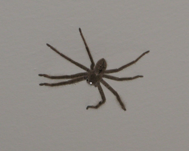 Боевое крещение